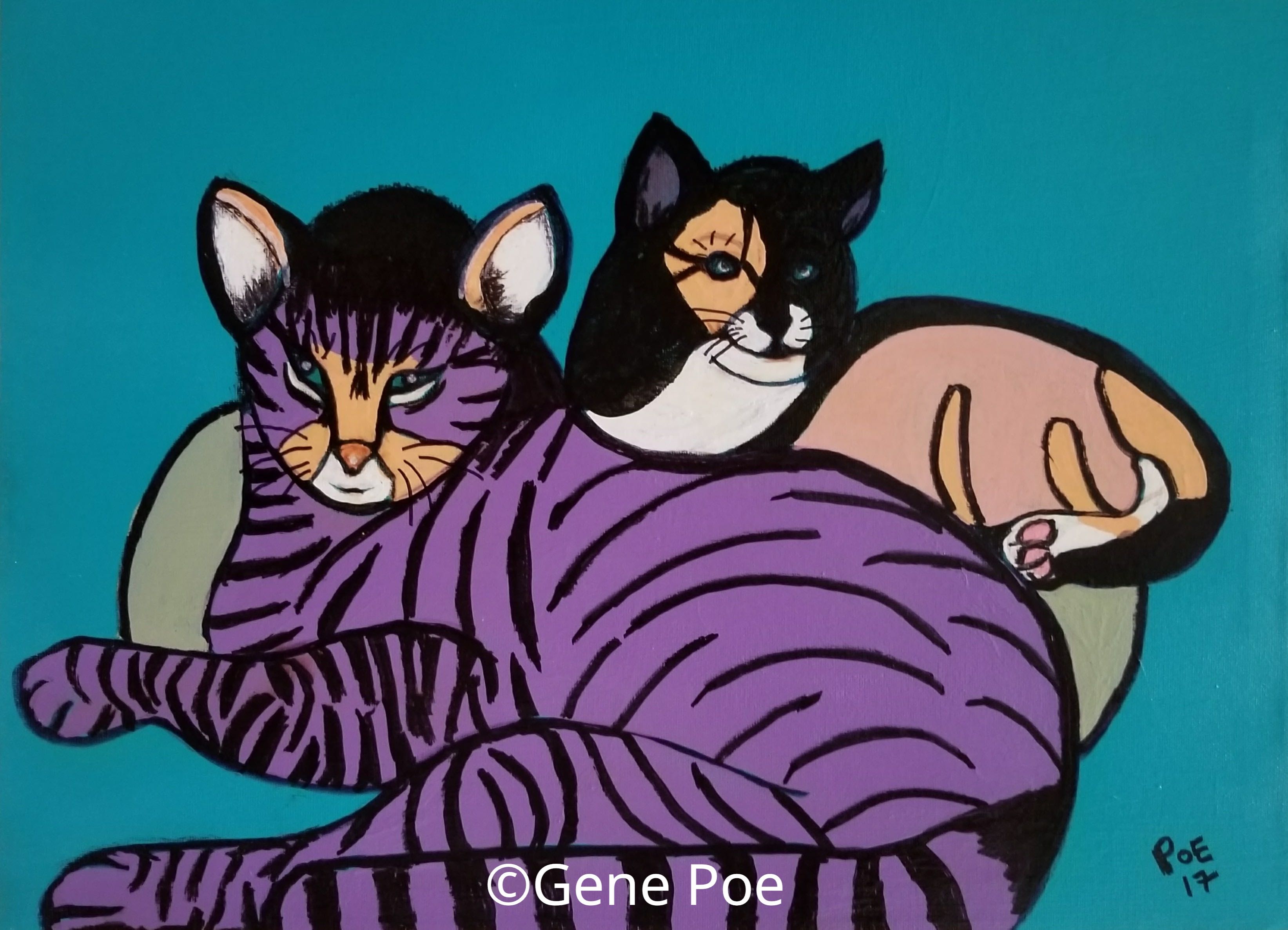 AJs%20Cats