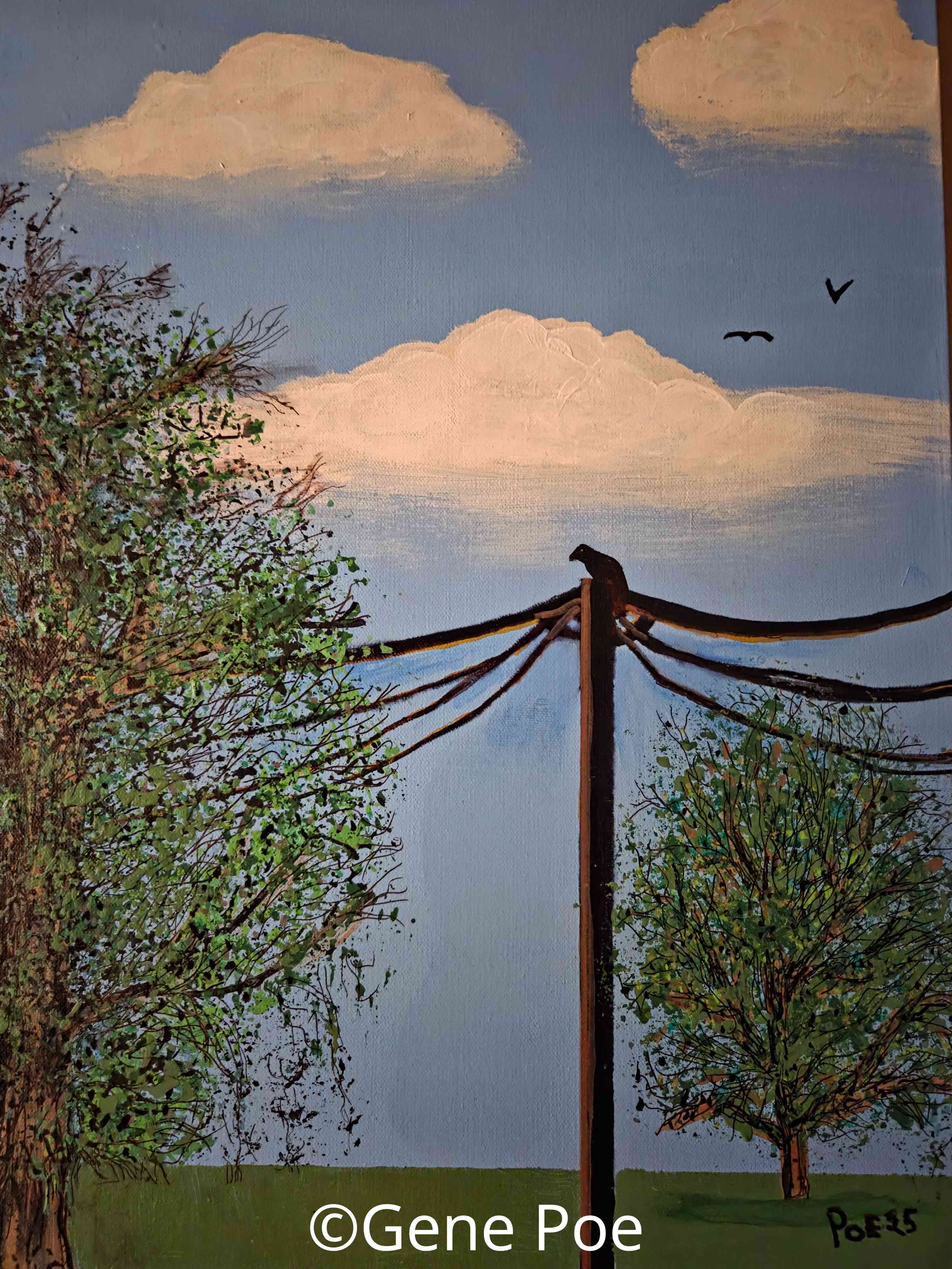 Bird%27s%20Eye%20View