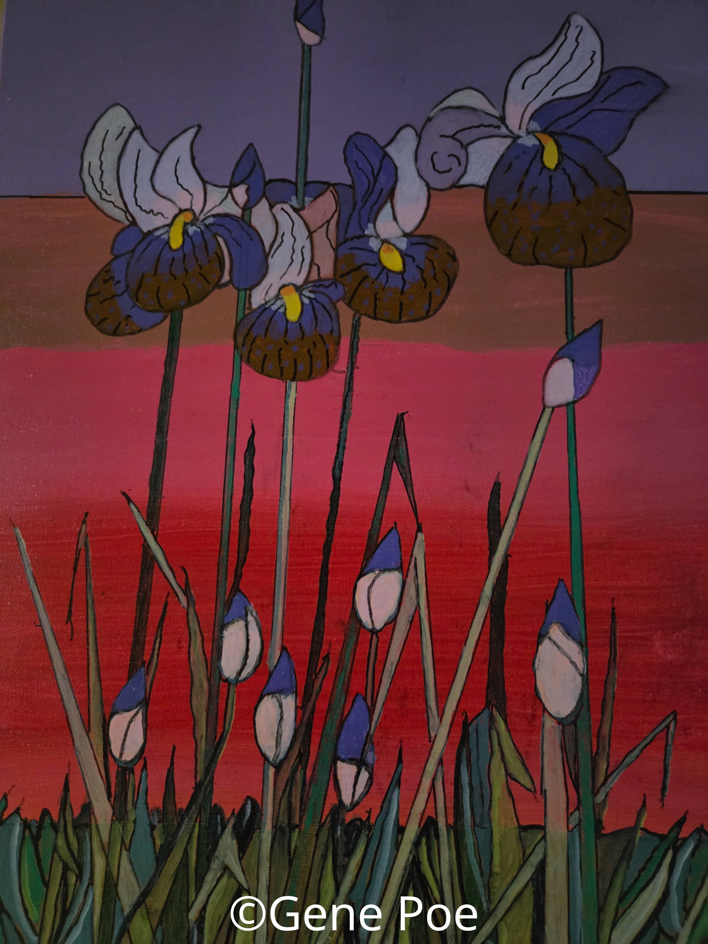 Irises