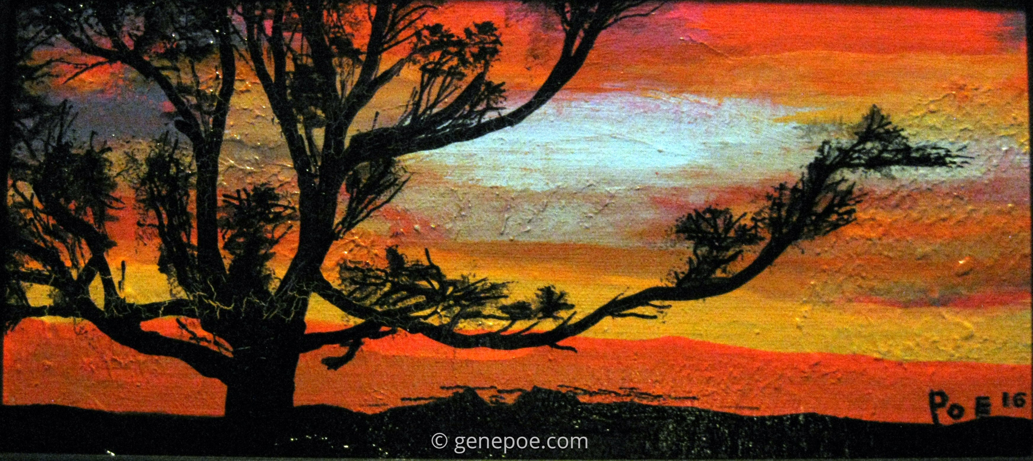 Lonely%20Tree