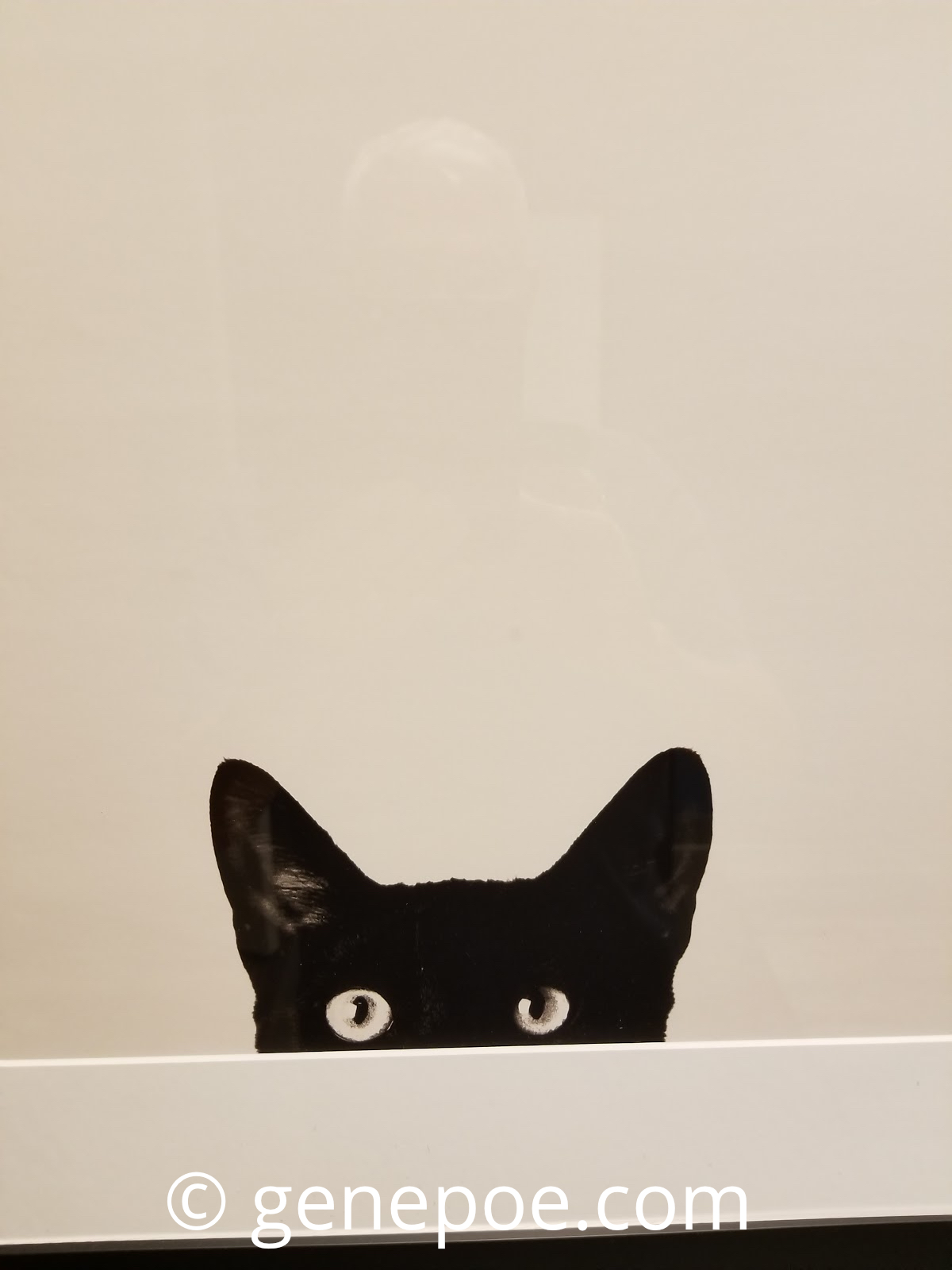 Peek A-Boo%21
