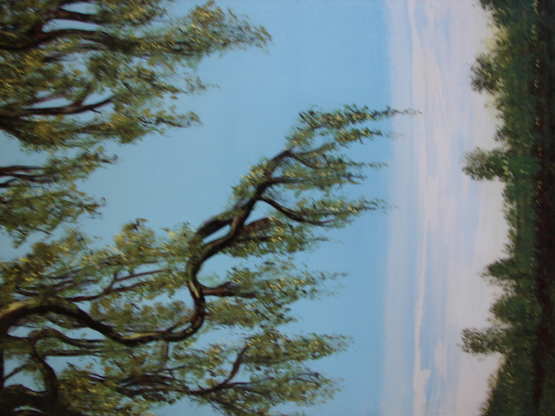 Willow%20Tree